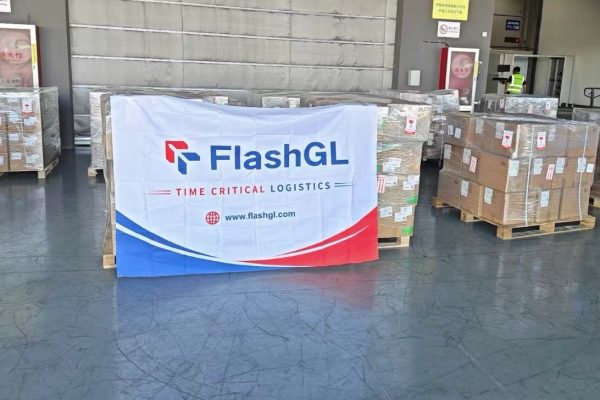 NFO Shipment: 18 Pallets Ningbo to Serbia in 13 Days — Door-to-Door
