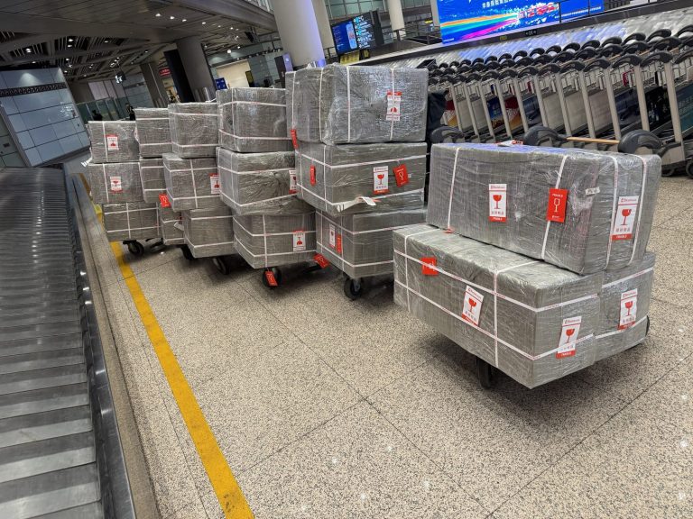 ningbo-serbia-NFO-08-ningbo-airport-this-way-up - FlashGL